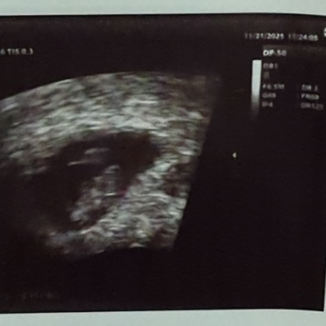 Photo shared by Christopher for their Babylist baby registry.