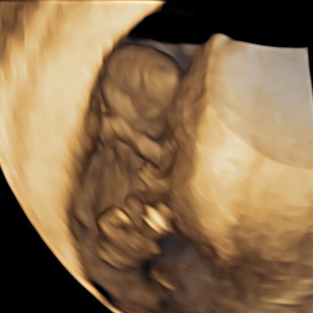 Photo shared by Salena for their Babylist baby registry.