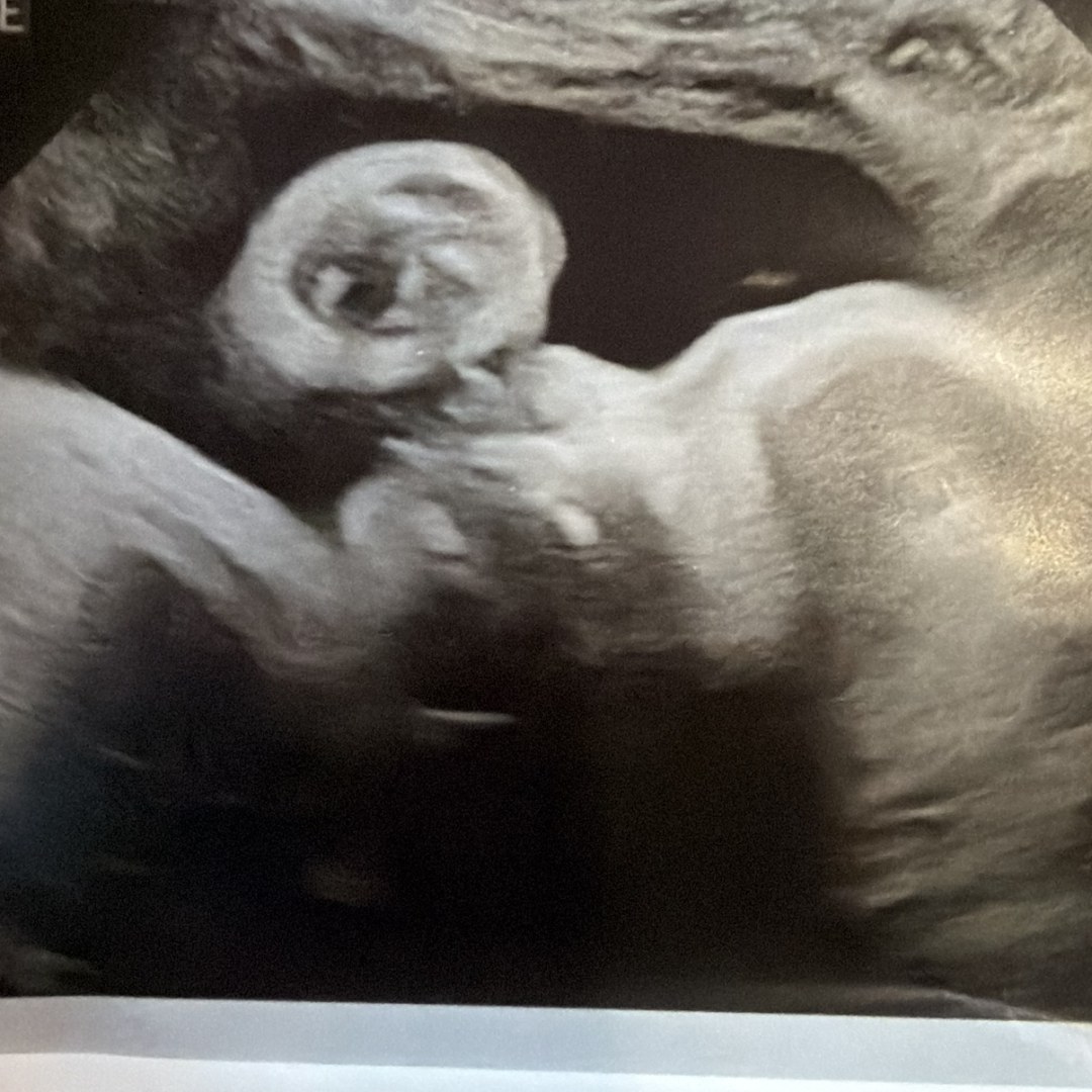 Photo shared by Crysta for their Babylist baby registry.