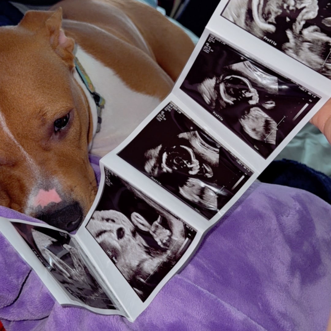 Photo shared by Adrianna for their Babylist baby registry.