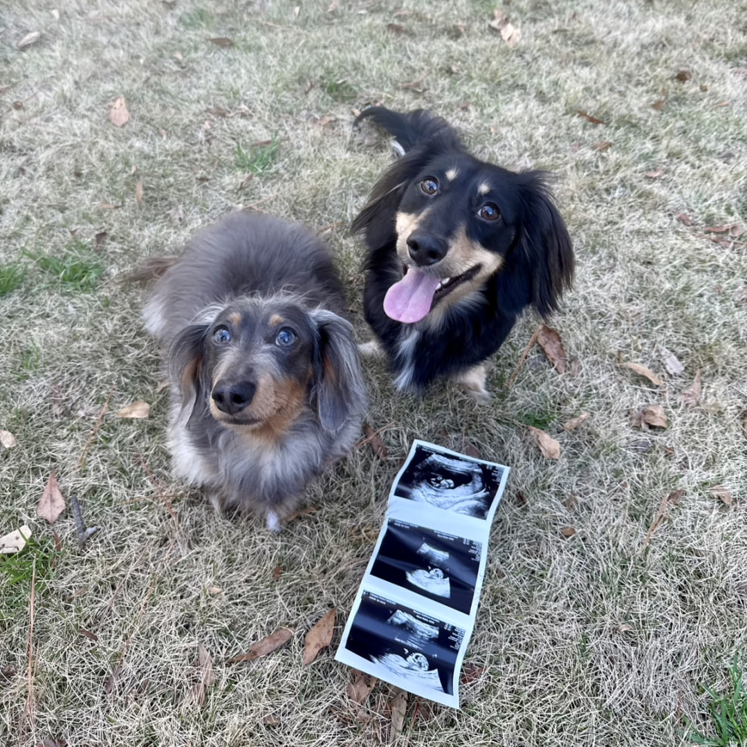 Photo shared by Emma for their Babylist baby registry.