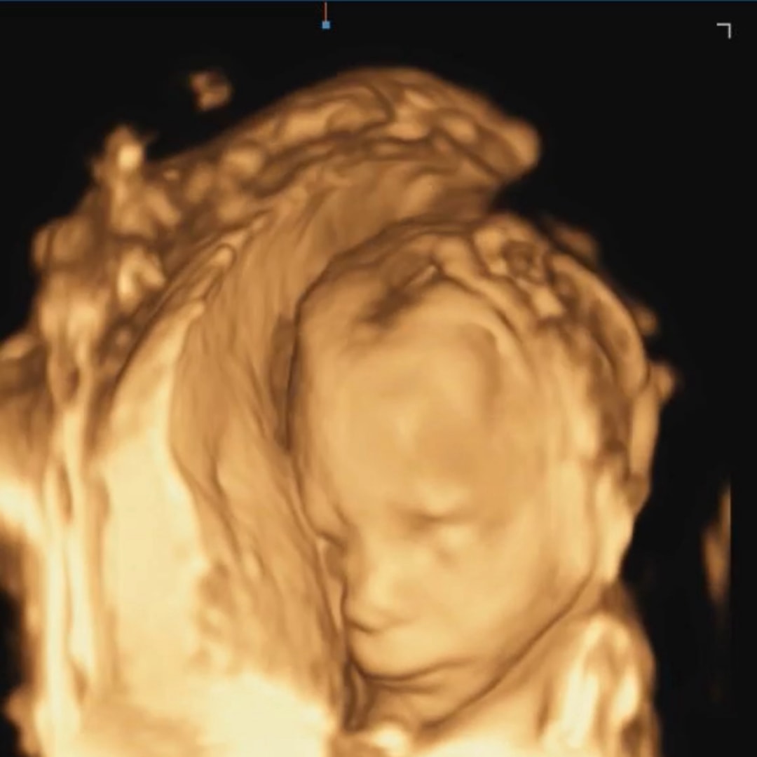 Photo shared by Journey for their Babylist baby registry.