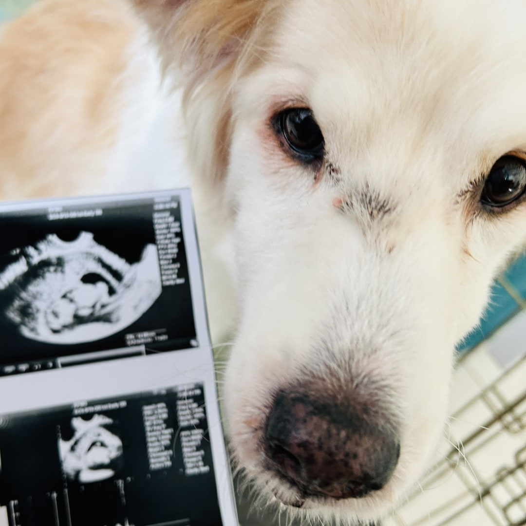 Photo shared by Reyn for their Babylist baby registry.