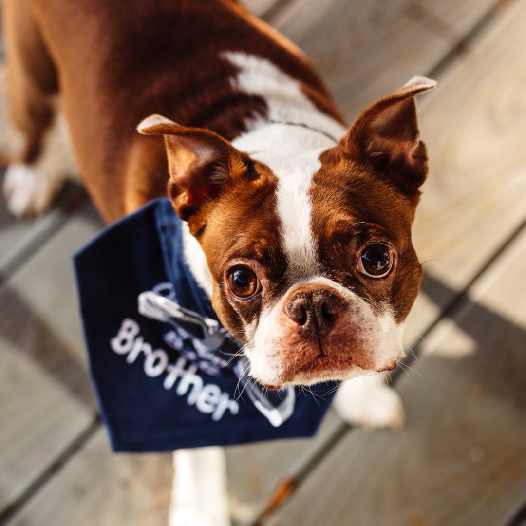 Photo shared by Emily for their Babylist baby registry.