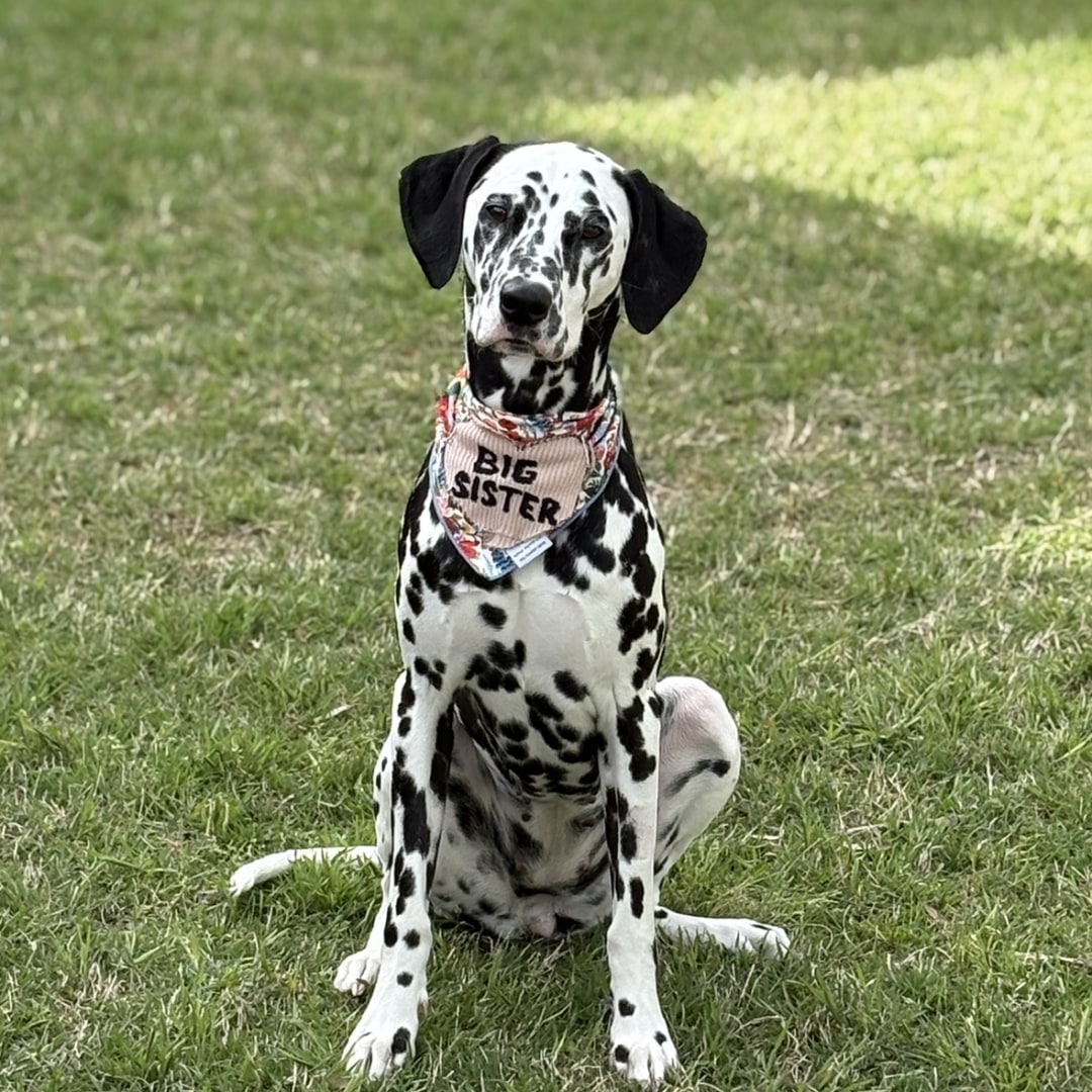 Photo shared by Kathy for their Babylist baby registry.