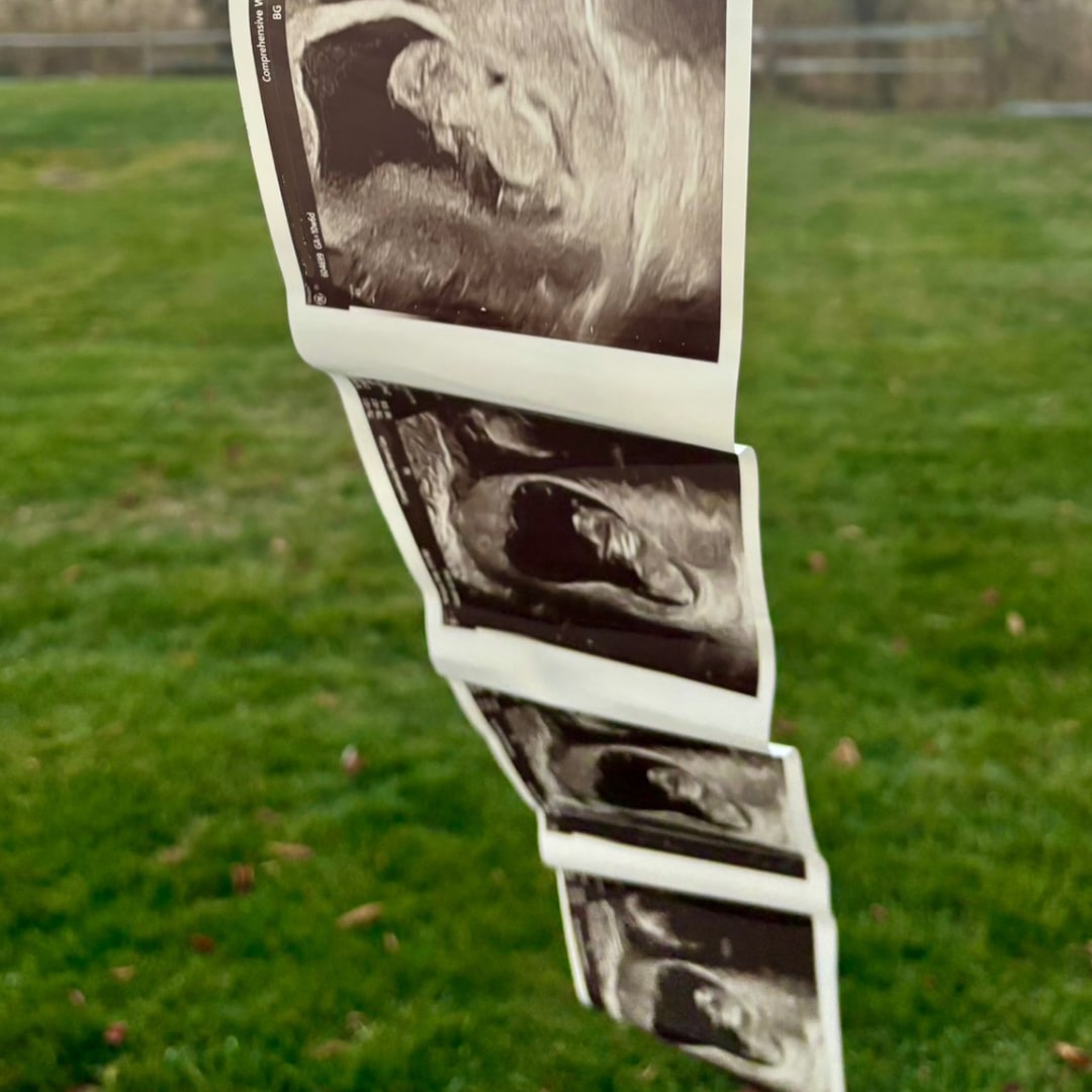 Photo shared by Shelby for their Babylist baby registry.