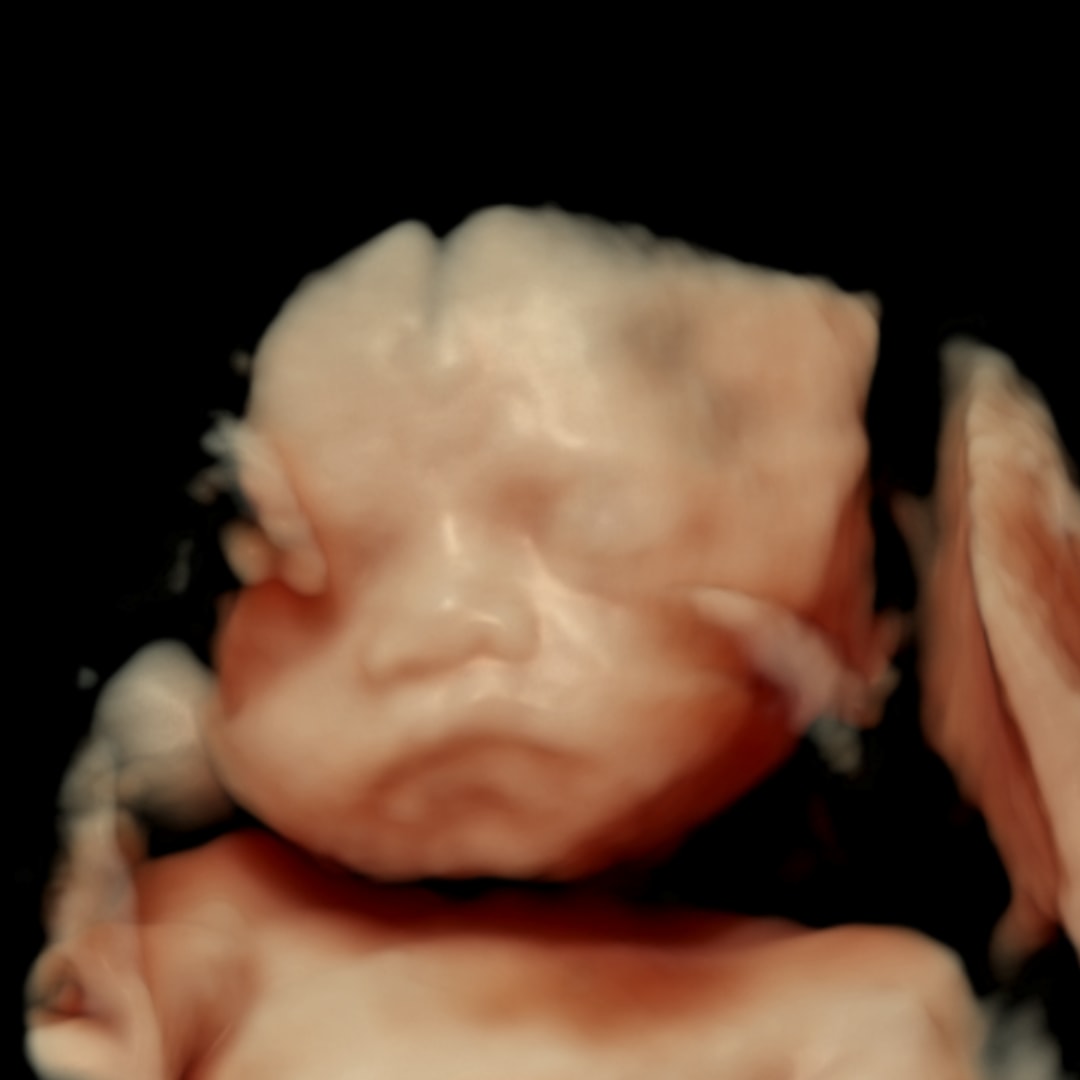 Photo shared by Annie for their Babylist baby registry.