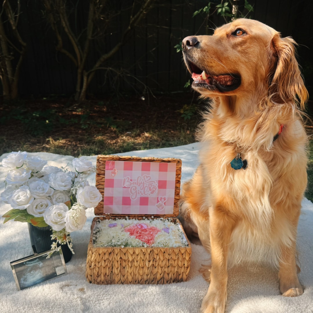 Photo shared by Aubry for their Babylist baby registry.