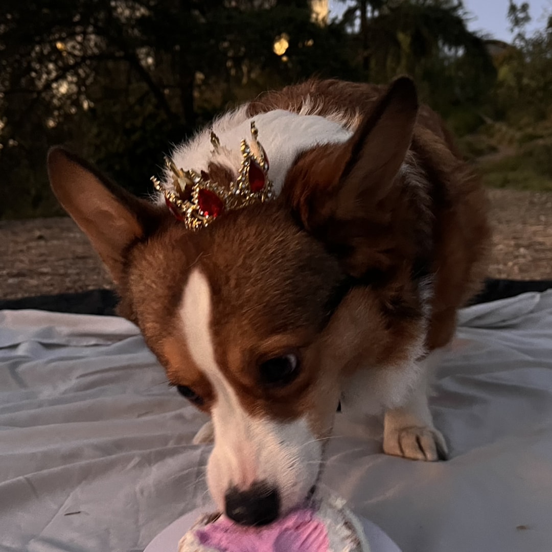 Photo shared by Celeste for their Babylist baby registry.