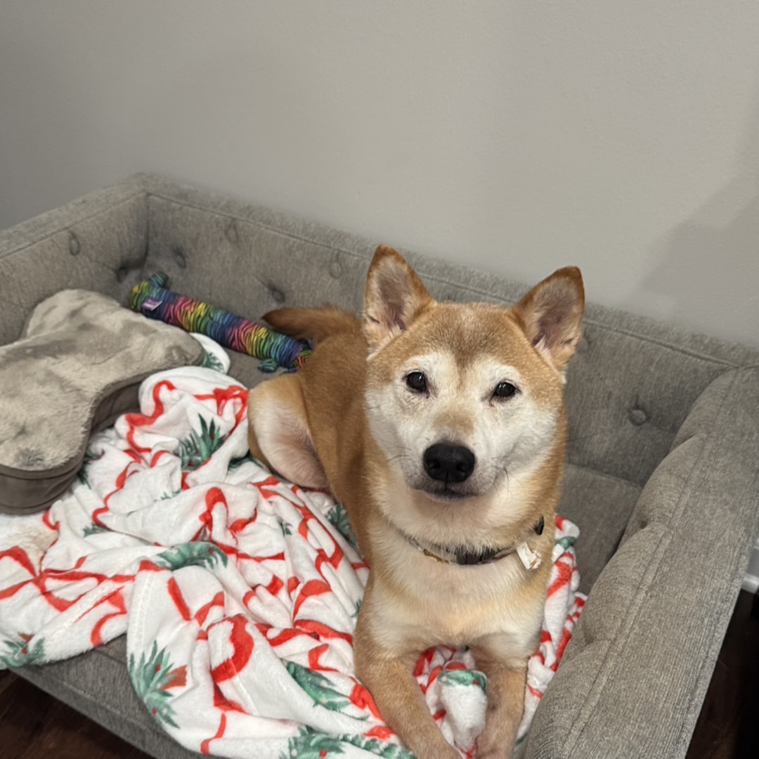 Photo shared by Ruby for their Babylist baby registry.