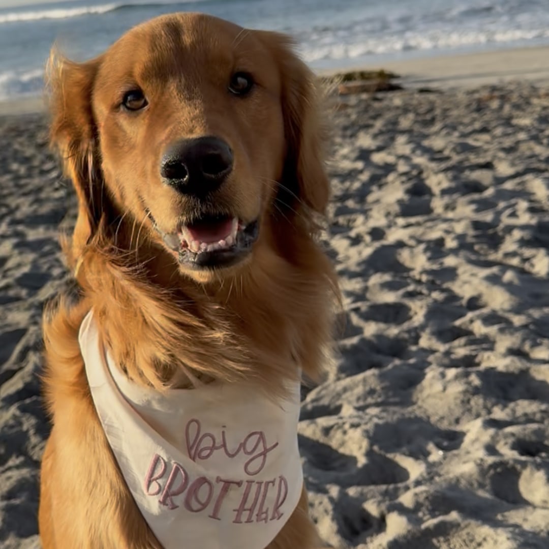 Photo shared by Stephanie for their Babylist baby registry.