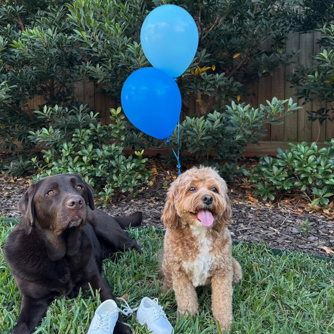 Photo shared by Emily for their Babylist baby registry.