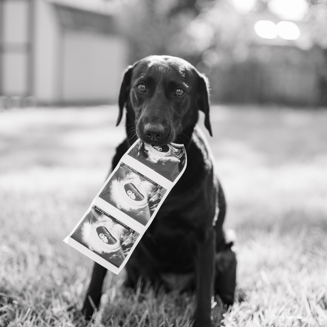 Photo shared by Cori for their Babylist baby registry.