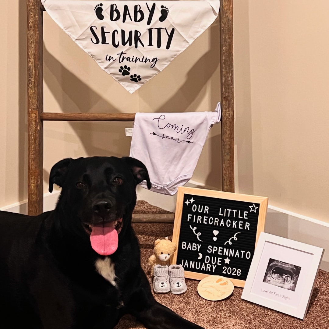 Photo shared by Samantha for their Babylist baby registry.