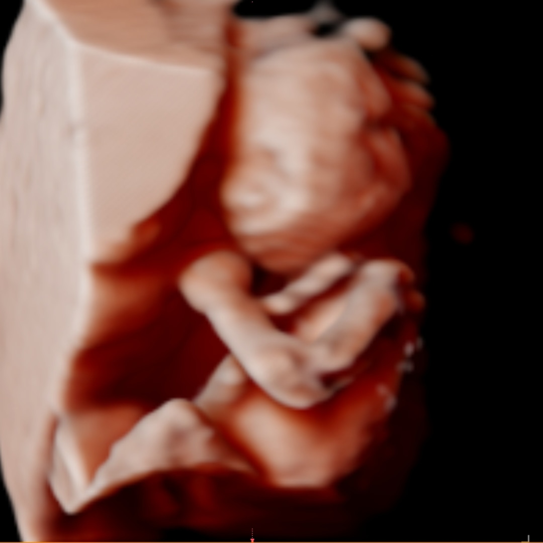 Photo shared by Ariana for their Babylist baby registry.