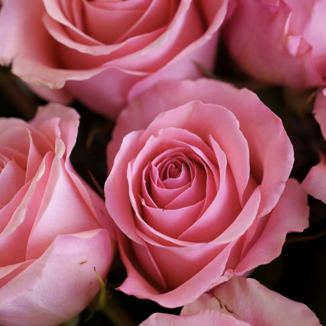 Photo shared by Kira for their Babylist baby registry.