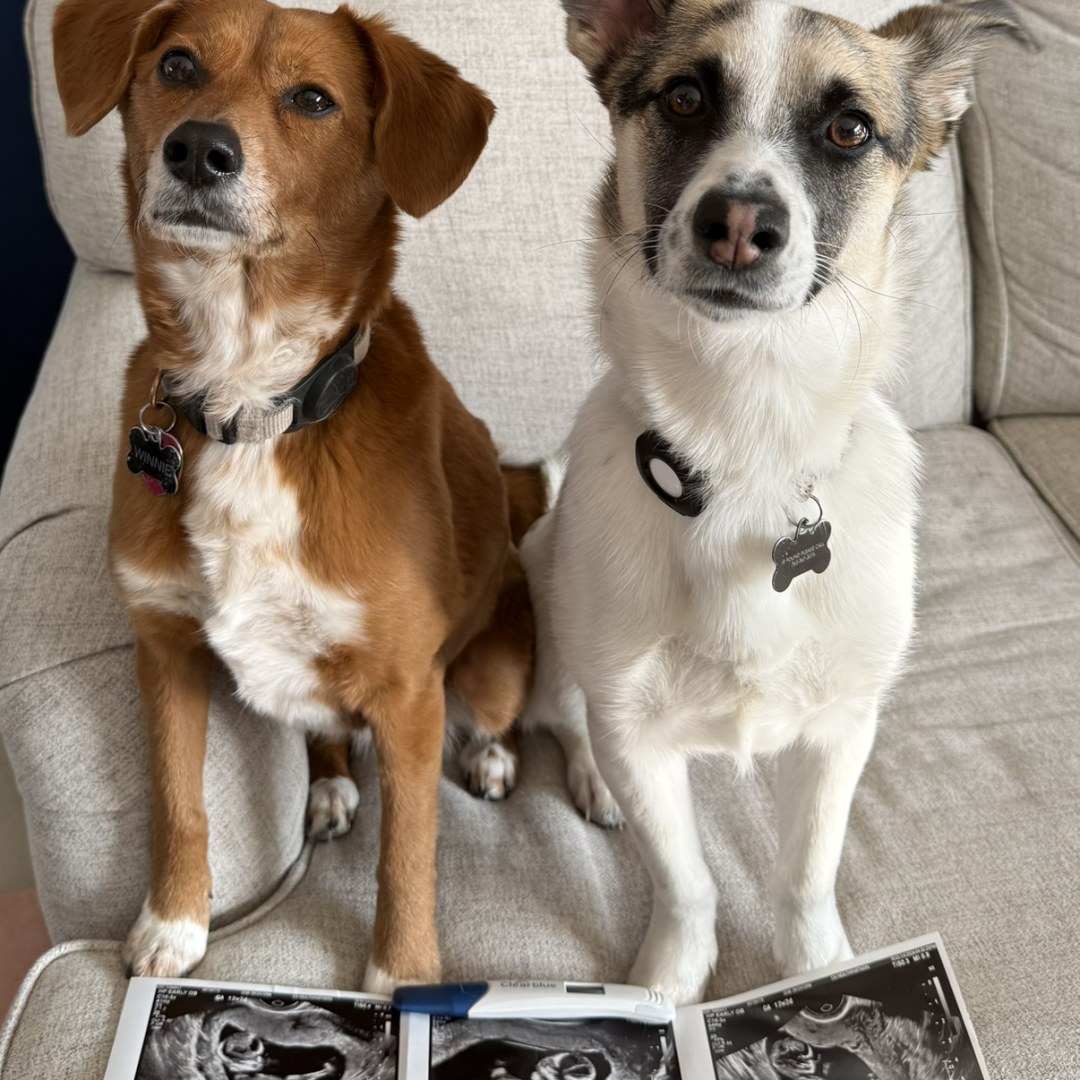 Photo shared by Sarah for their Babylist baby registry.