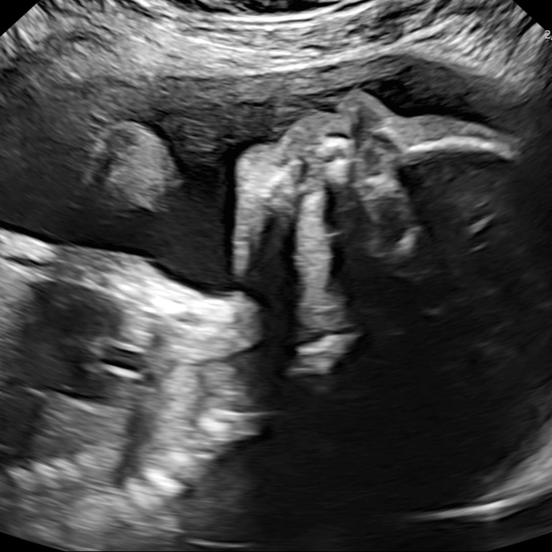 Photo shared by Bryanna for their Babylist baby registry.