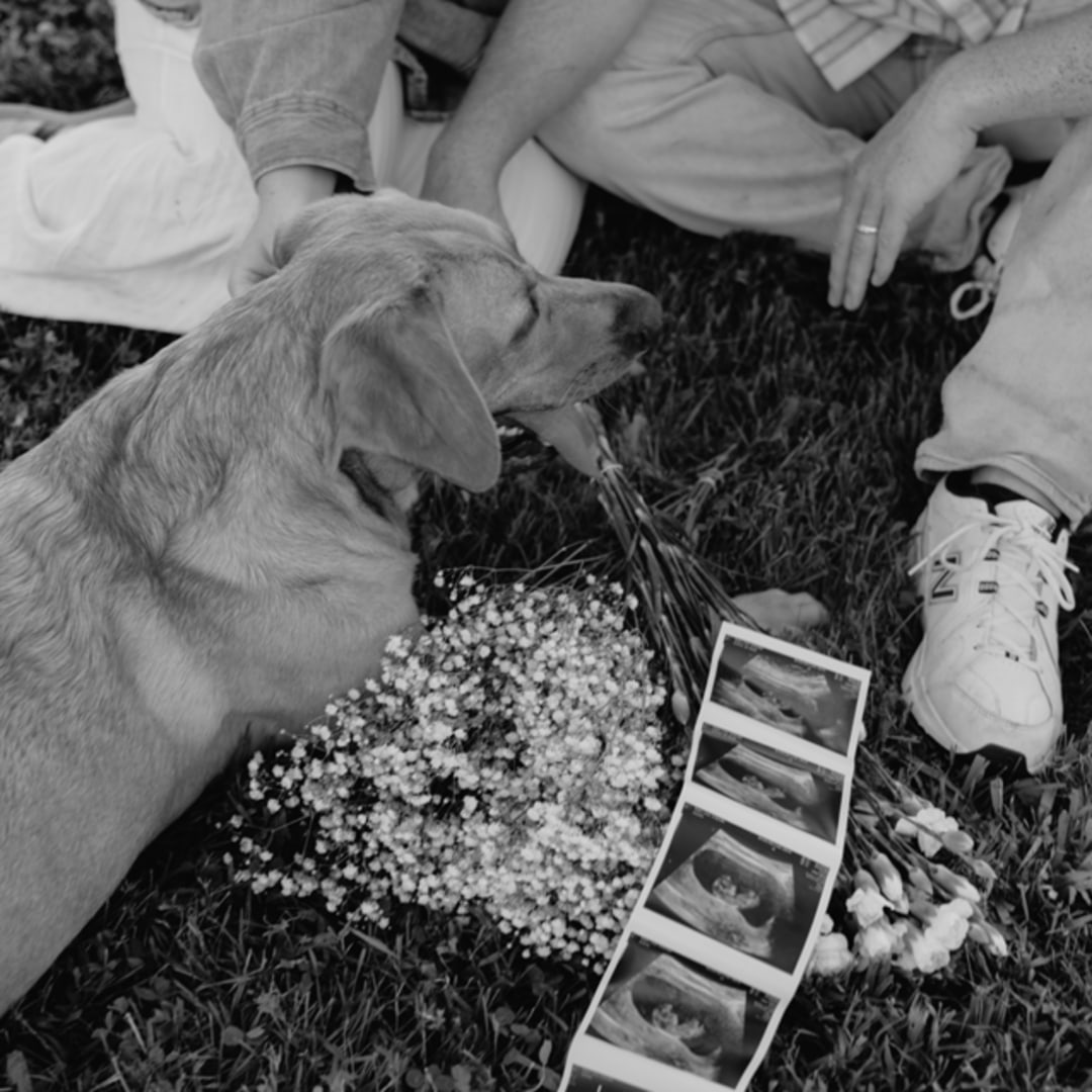 Photo shared by Greta for their Babylist baby registry.