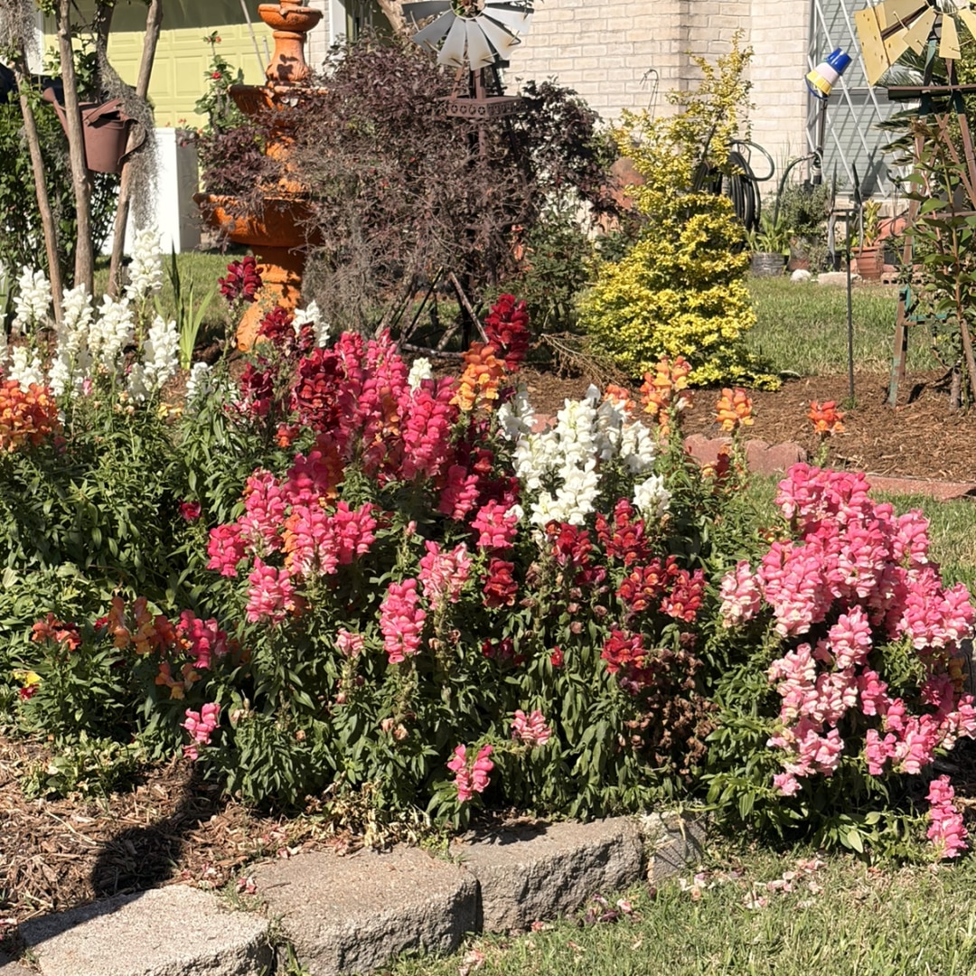 Photo shared by Abril for their Babylist baby registry.