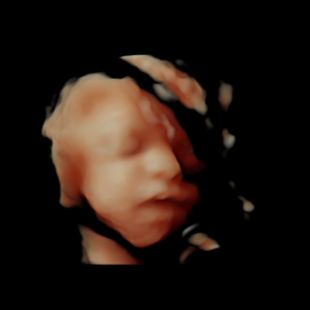 Photo shared by Abby for their Babylist baby registry.