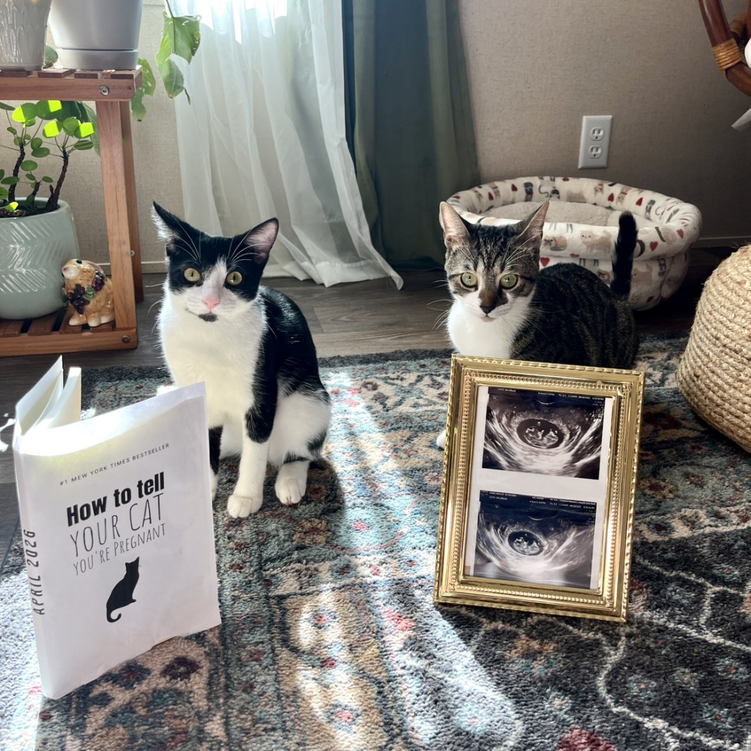 Photo shared by Raylee for their Babylist baby registry.