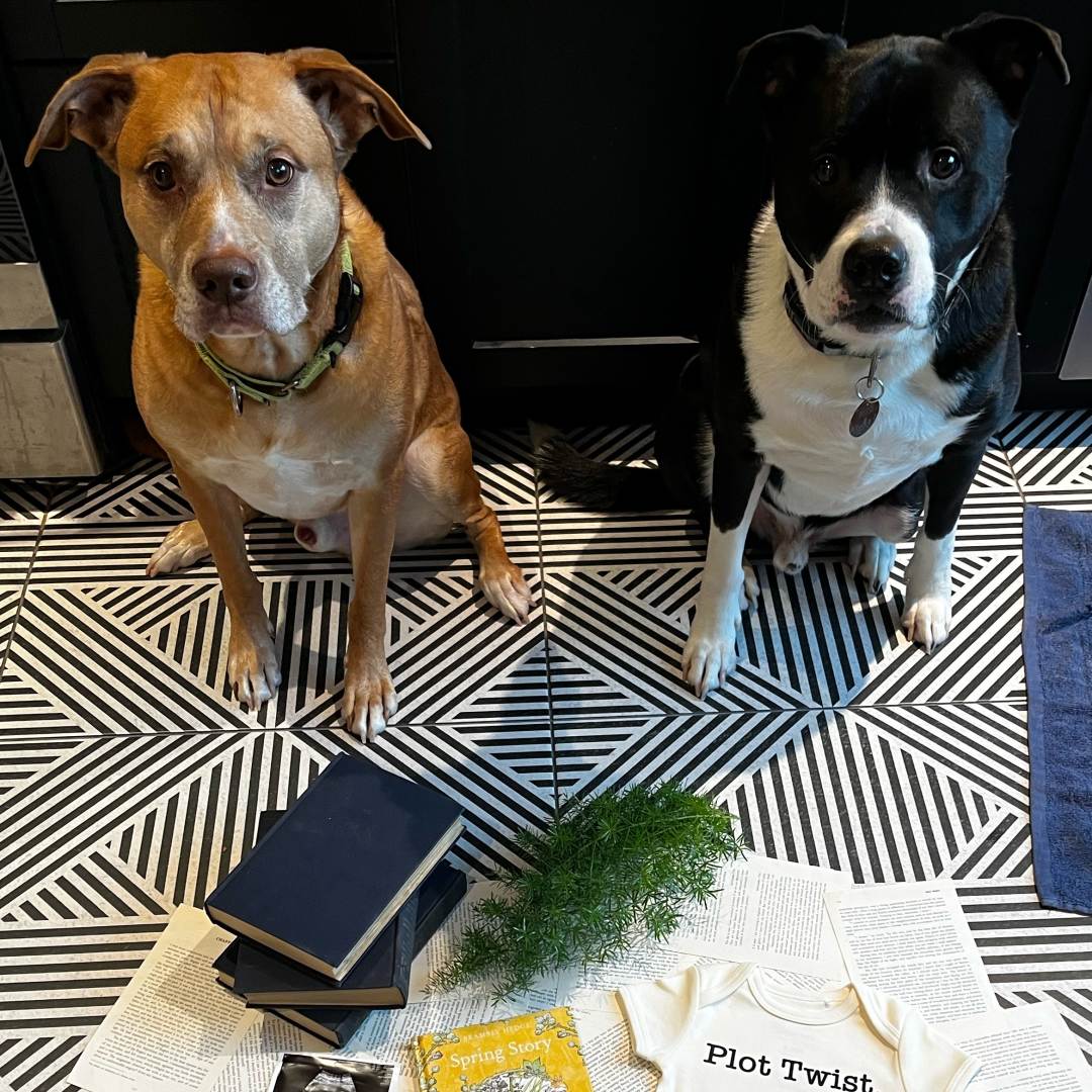 Photo shared by Meg for their Babylist baby registry.