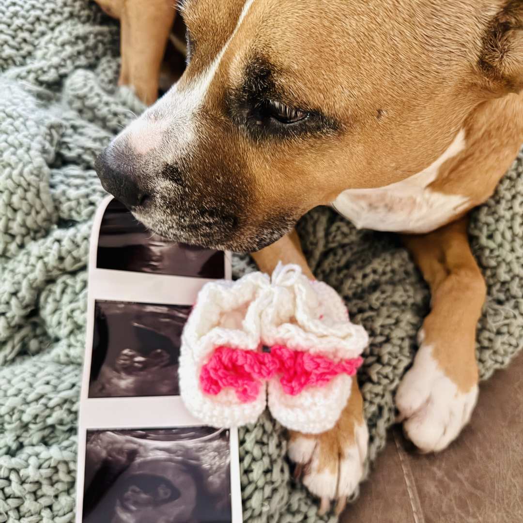 Photo shared by Anna for their Babylist baby registry.