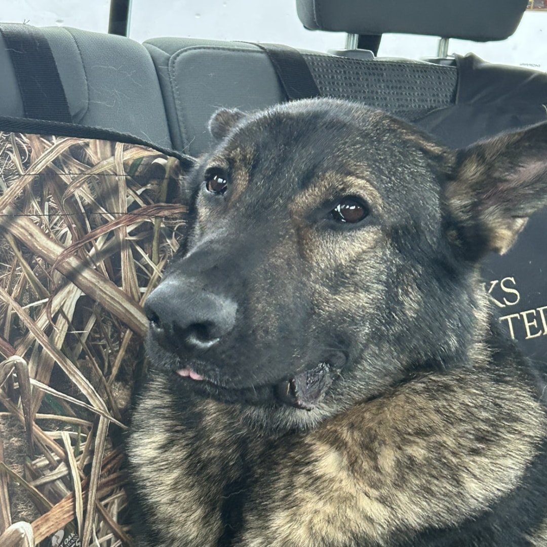 Photo shared by Hannah for their Babylist baby registry.