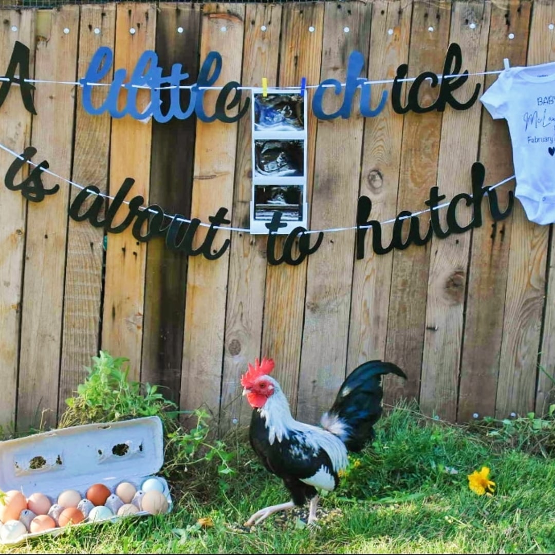 Photo shared by Brittany for their Babylist baby registry.