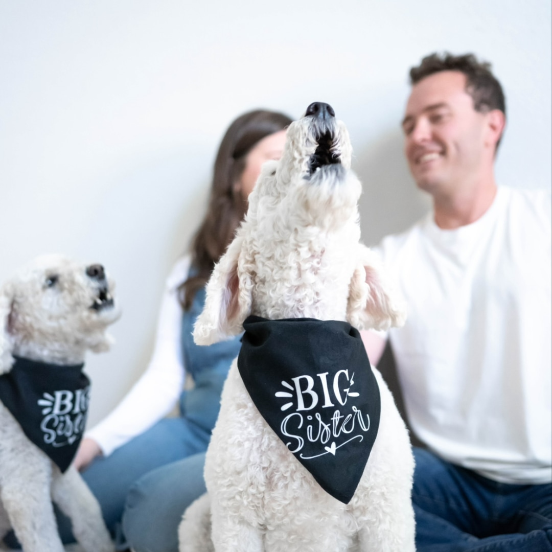 Photo shared by Mollie for their Babylist baby registry.