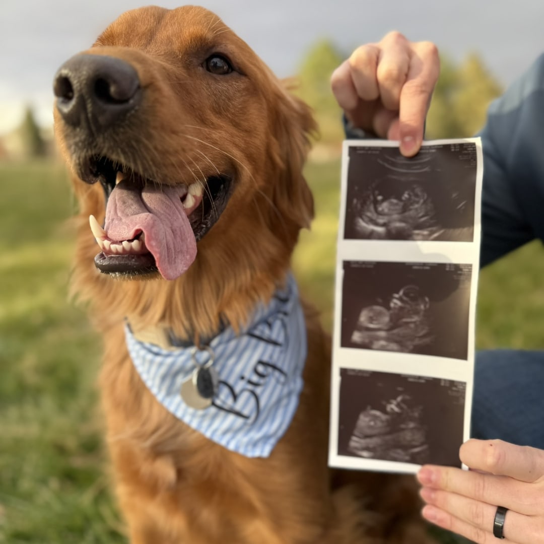 Photo shared by Amy for their Babylist baby registry.