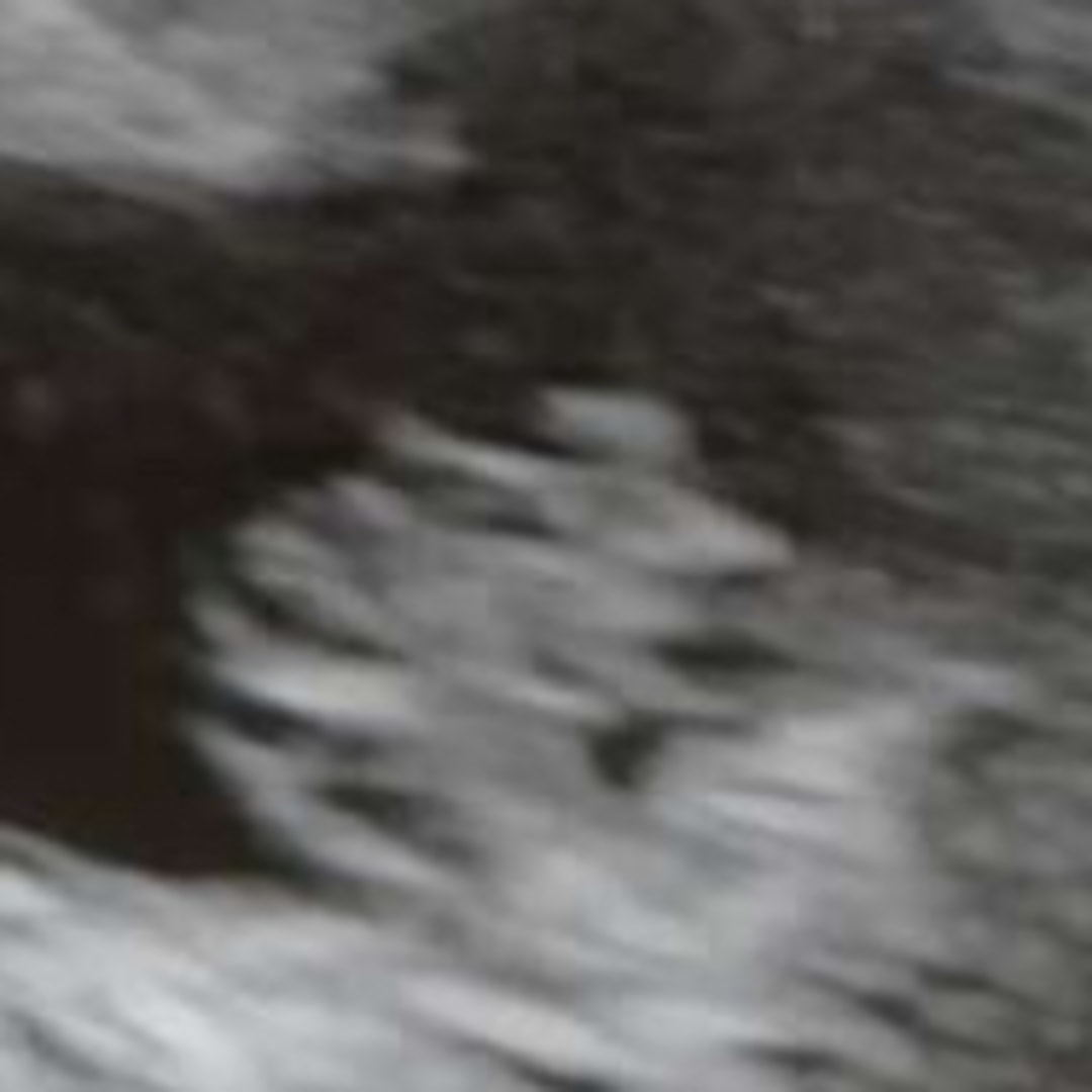 Photo shared by Bella for their Babylist baby registry.