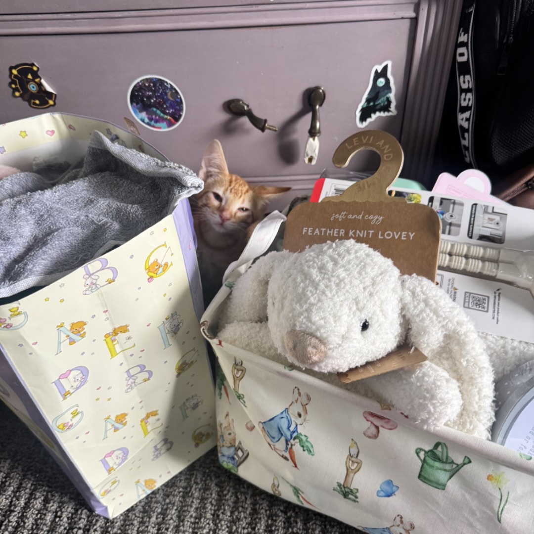 Photo shared by Serenity for their Babylist baby registry.