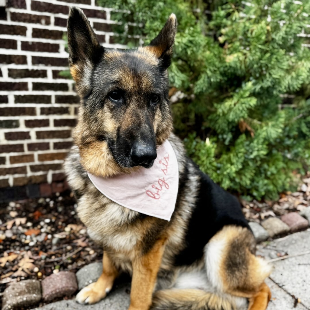 Photo shared by Bailey for their Babylist baby registry.