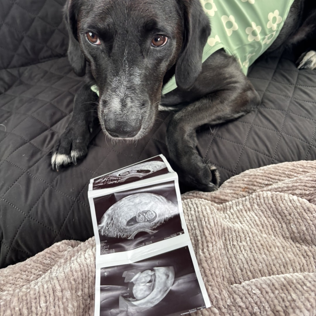 Photo shared by Dannah for their Babylist baby registry.