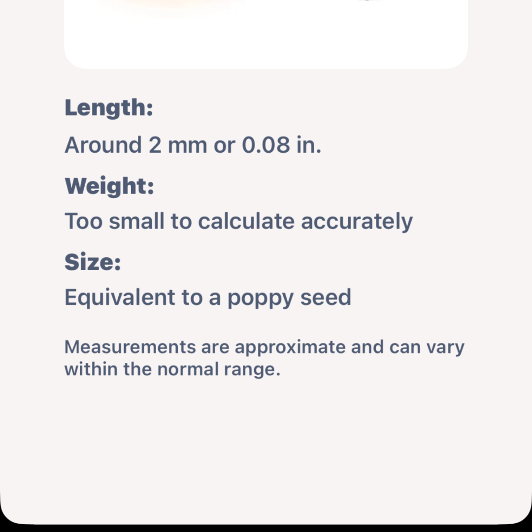 Photo shared by Jasmine for their Babylist baby registry.