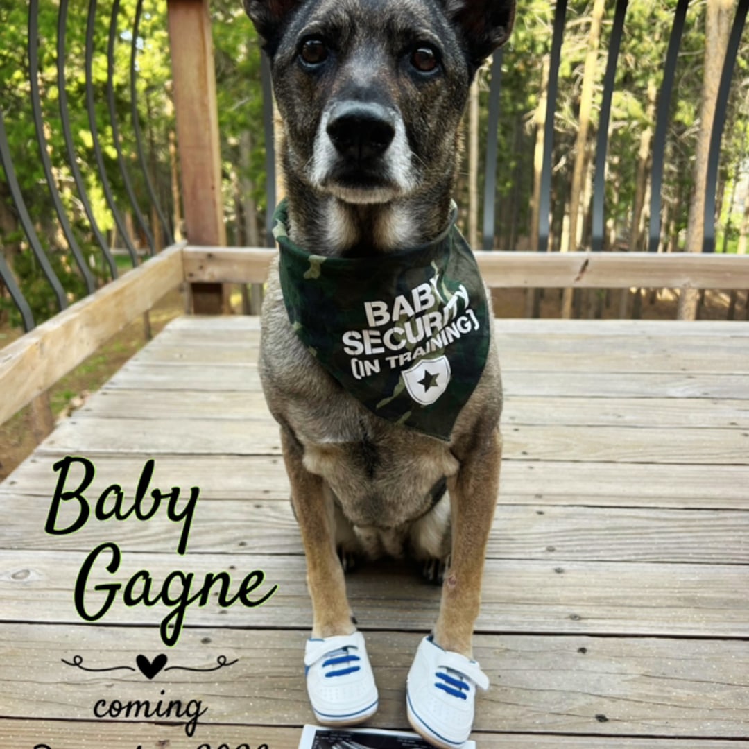 Photo shared by Courtney for their Babylist baby registry.
