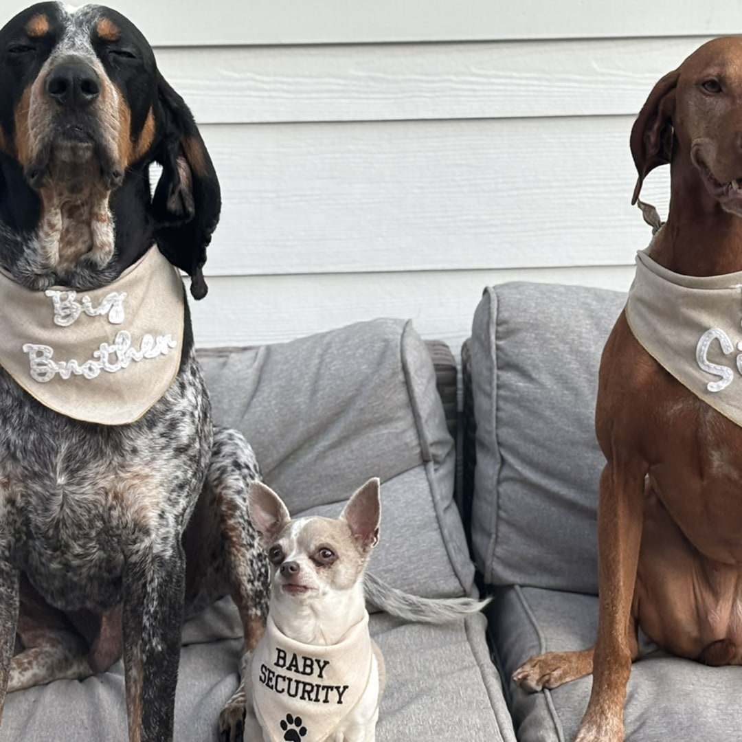 Photo shared by Nathalie & Mark for their Babylist baby registry.