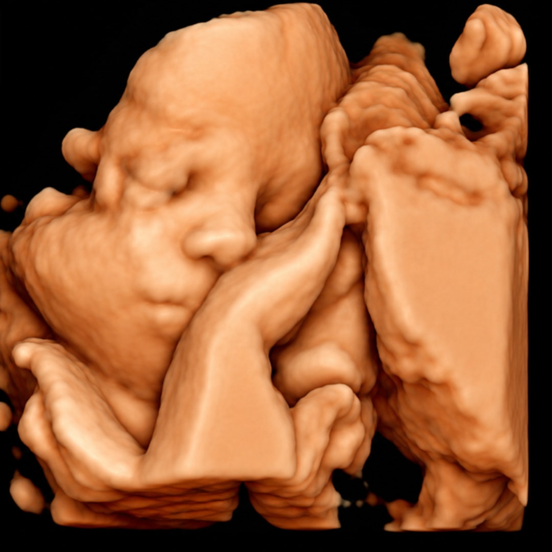 Photo shared by Jaida for their Babylist baby registry.