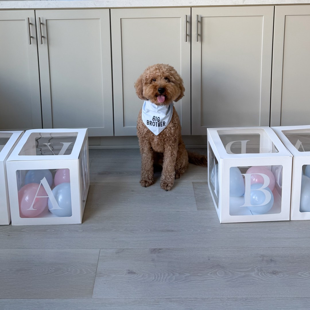 Photo shared by Christine for their Babylist baby registry.