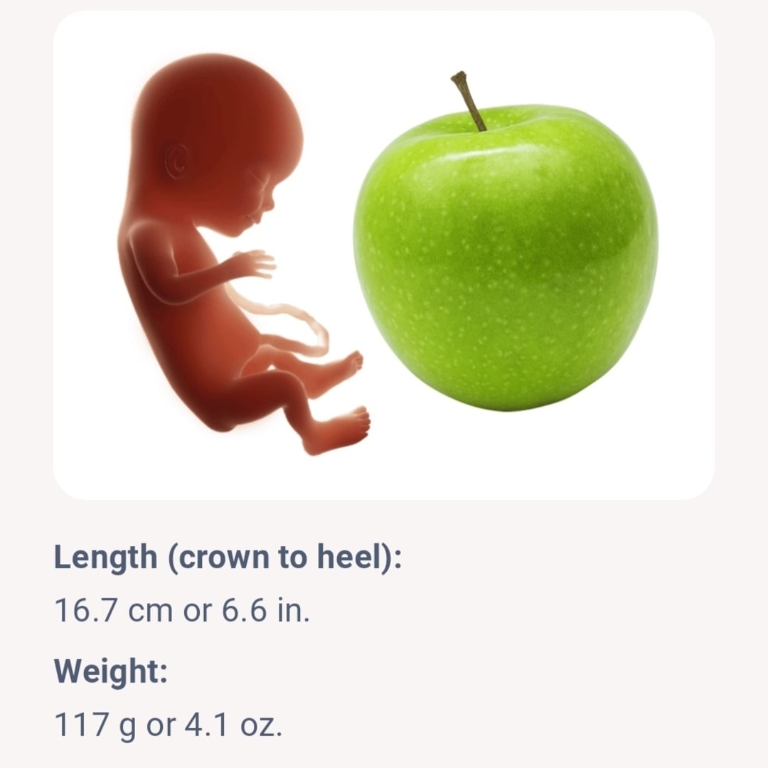 Photo shared by Ana for their Babylist baby registry.