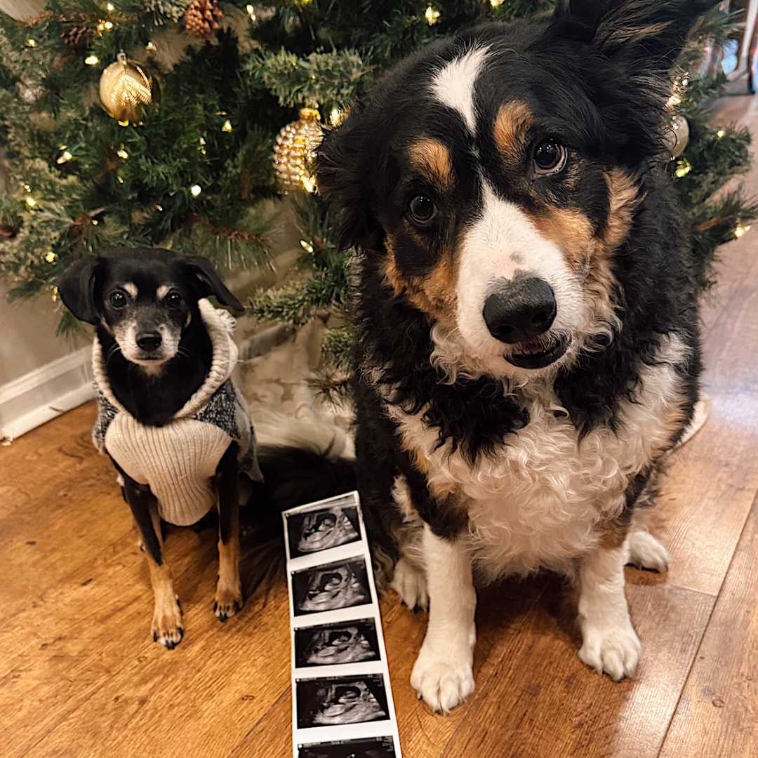 Photo shared by Rebeccah for their Babylist baby registry.