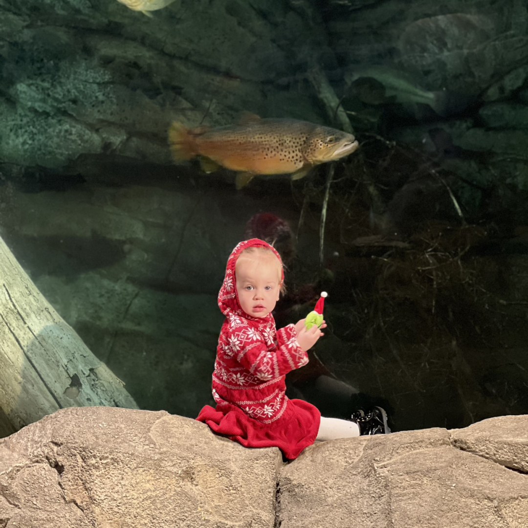 Photo shared by Alanna for their Babylist baby registry.