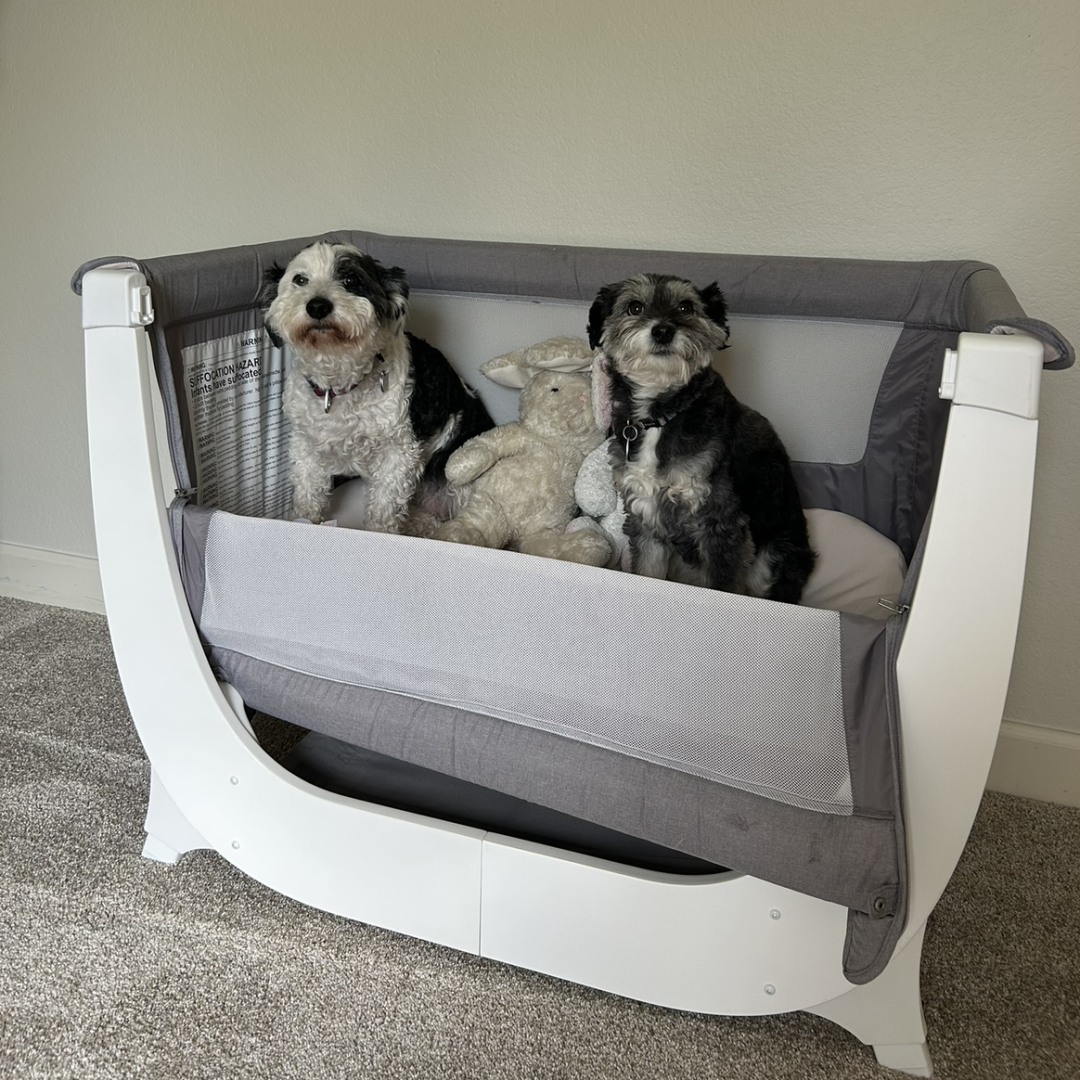 Photo shared by Stephanie for their Babylist baby registry.