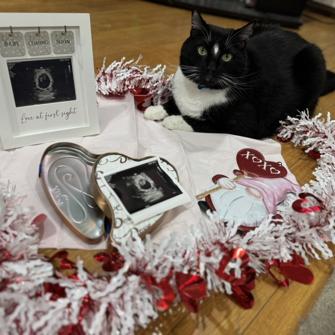 Photo shared by Machella for their Babylist baby registry.