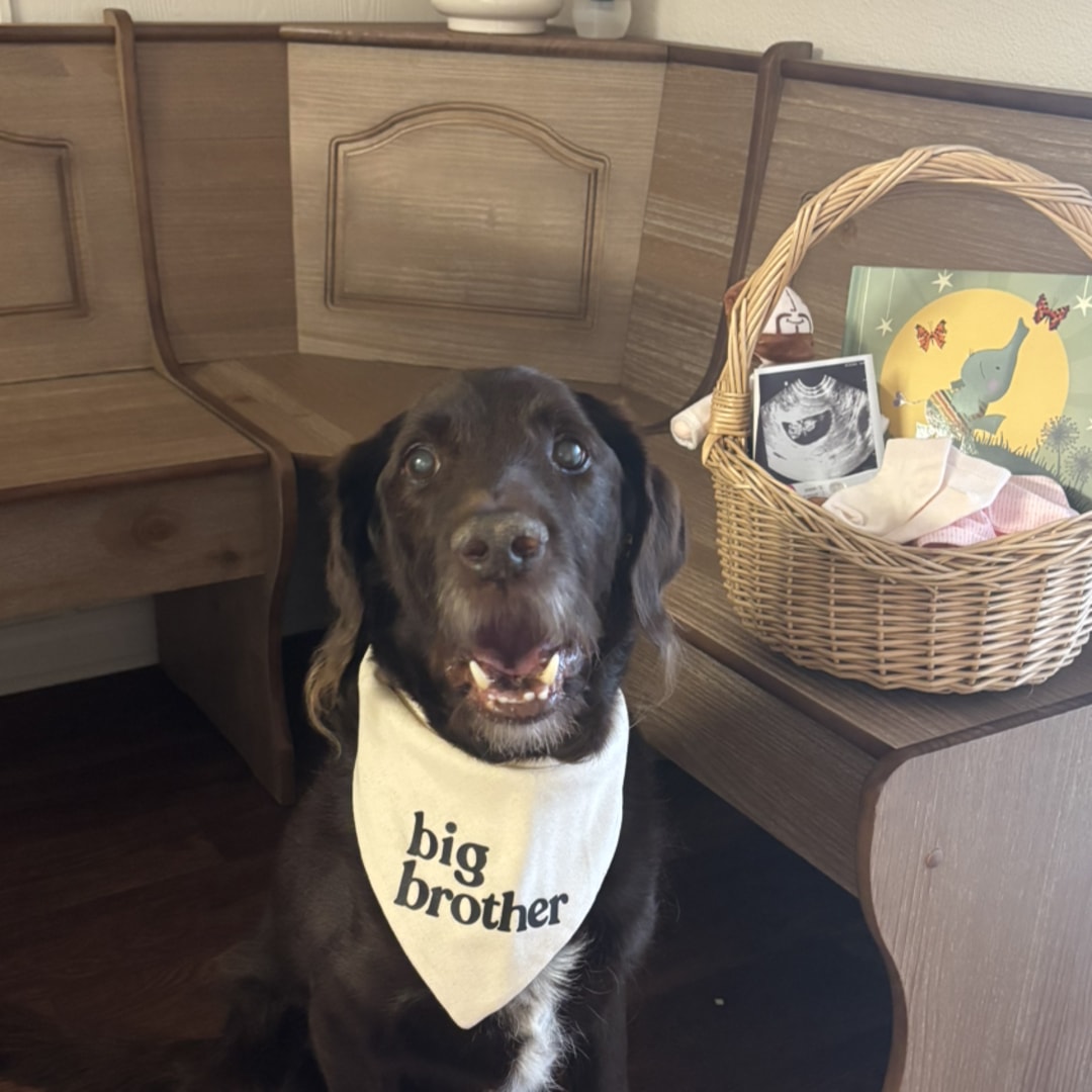 Photo shared by Lesley for their Babylist baby registry.