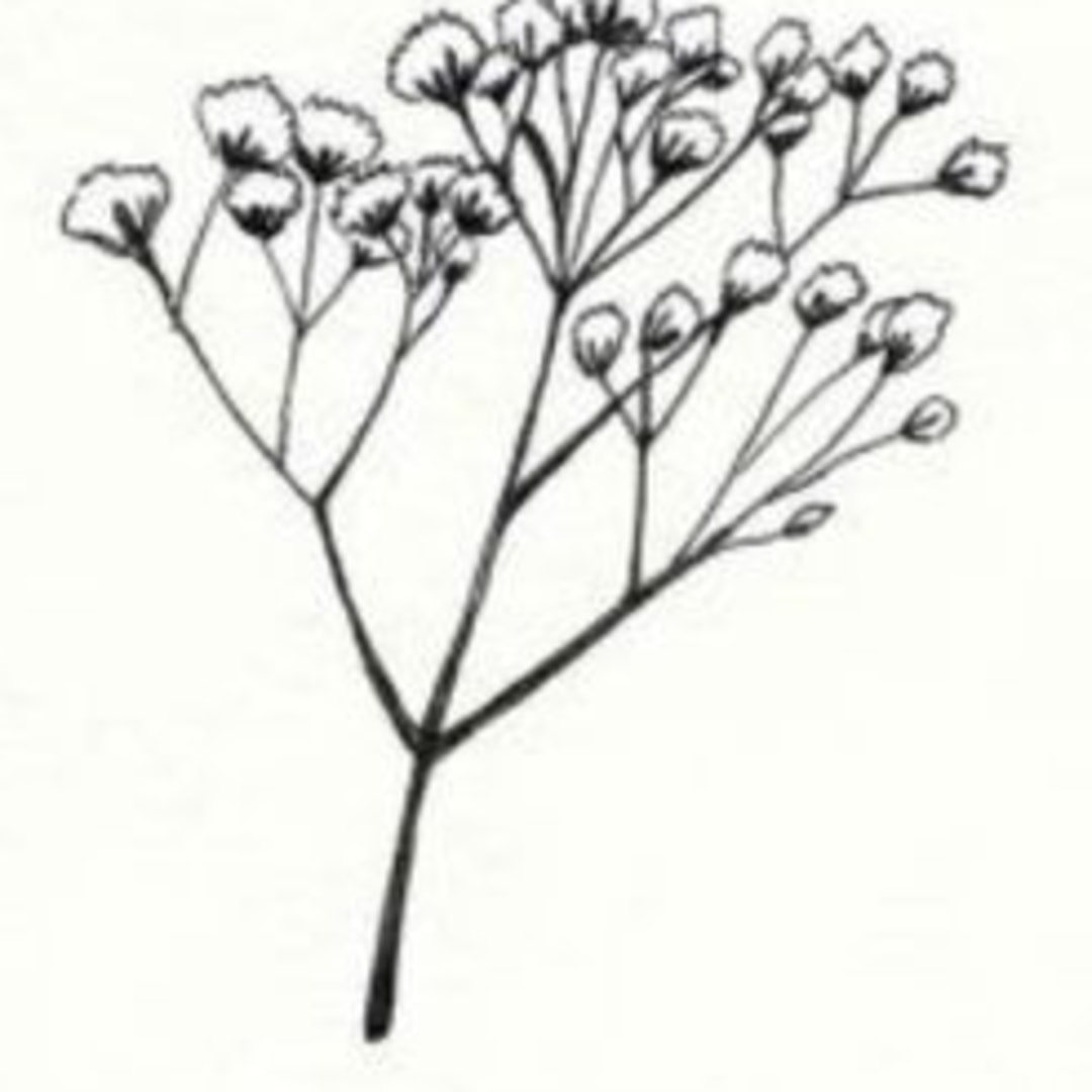 Photo shared by Marina for their Babylist baby registry.