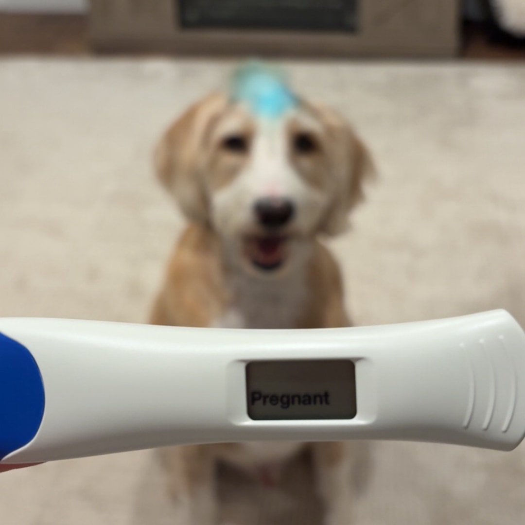 Photo shared by Tatum for their Babylist baby registry.