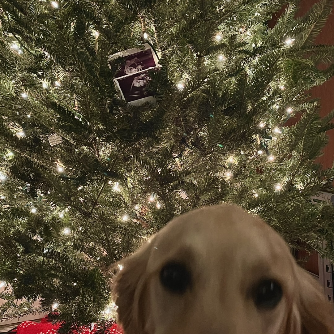 Photo shared by Sydney for their Babylist baby registry.